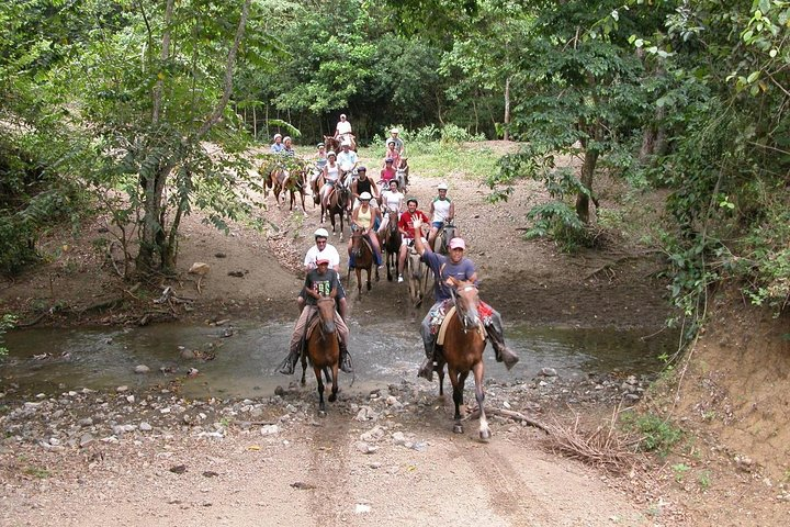 Horseback Riding River swimming From Bayahibe  - Photo 1 of 5